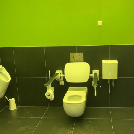 Auf dem Bild ist ein WC abgebildet