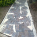 Bild_1