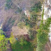Bild_8