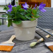Bild_3